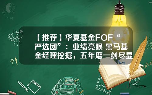 【推荐】华夏基金FOF“严选团”：业绩亮眼+黑马基金经理挖掘，五年磨一剑尽显实力-华夏基金孙彬