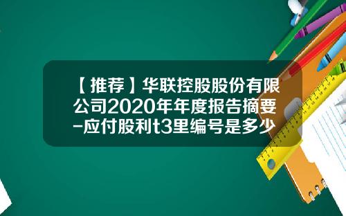 【推荐】华联控股股份有限公司2020年年度报告摘要-应付股利t3里编号是多少