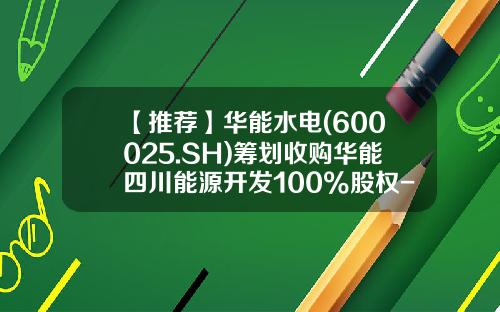 【推荐】华能水电(600025.SH)筹划收购华能四川能源开发100%股权-华能新能源股份有限公司股权结构
