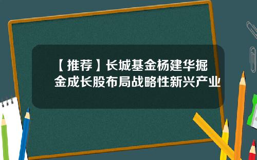 【推荐】长城基金杨建华掘金成长股布局战略性新兴产业