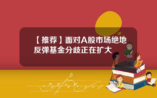 【推荐】面对A股市场绝地反弹基金分歧正在扩大
