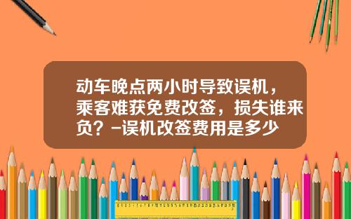 动车晚点两小时导致误机,乘客难获免费改签,损失谁来负?-误机改签费用是多少