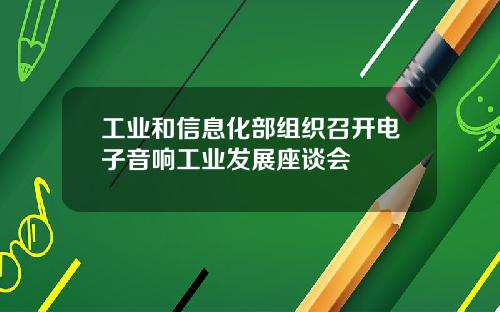 工业和信息化部组织召开电子音响工业发展座谈会