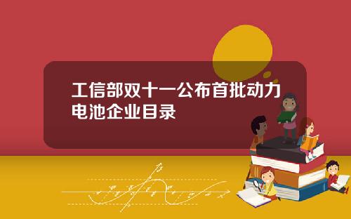 工信部双十一公布首批动力电池企业目录