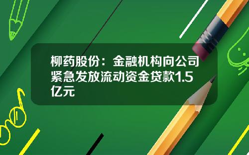 柳药股份:金融机构向公司紧急发放流动资金贷款1.5亿元