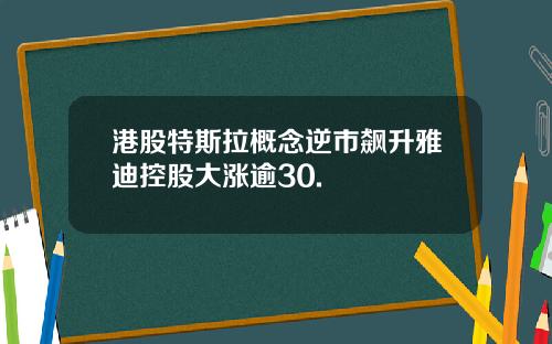 港股特斯拉概念逆市飙升雅迪控股大涨逾30.