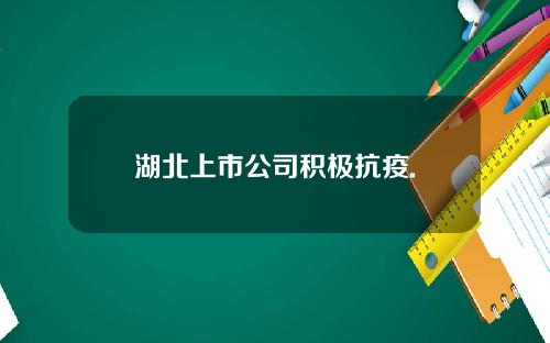 湖北上市公司积极抗疫.