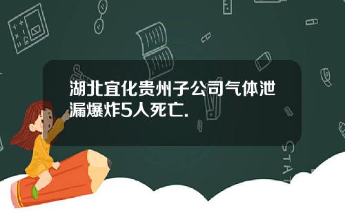 湖北宜化贵州子公司气体泄漏爆炸5人死亡.
