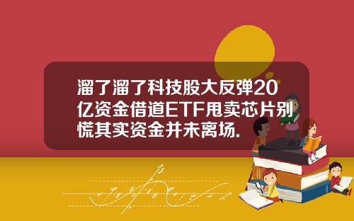 溜了溜了科技股大反弹20亿资金借道ETF甩卖芯片别慌其实资金并未离场.