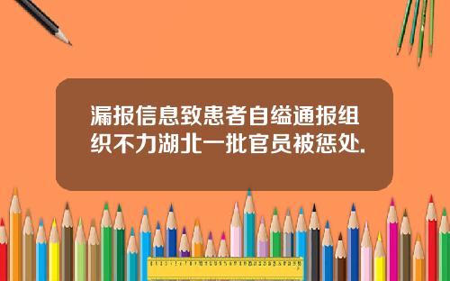漏报信息致患者自缢通报组织不力湖北一批官员被惩处.