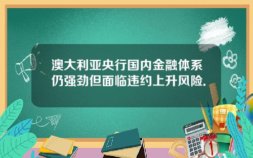 澳大利亚央行国内金融体系仍强劲但面临违约上升风险.