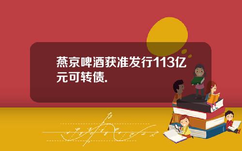 燕京啤酒获准发行113亿元可转债.