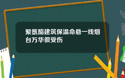 聚氨酯建筑保温命悬一线烟台万华很受伤