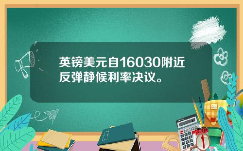 英镑美元自16030附近反弹静候利率决议。