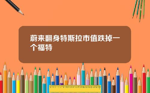 蔚来翻身特斯拉市值跌掉一个福特