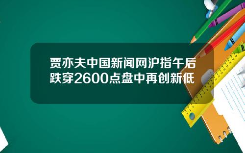 贾亦夫中国新闻网沪指午后跌穿2600点盘中再创新低
