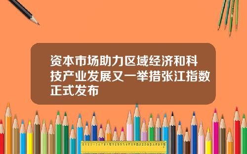 资本市场助力区域经济和科技产业发展又一举措张江指数正式发布