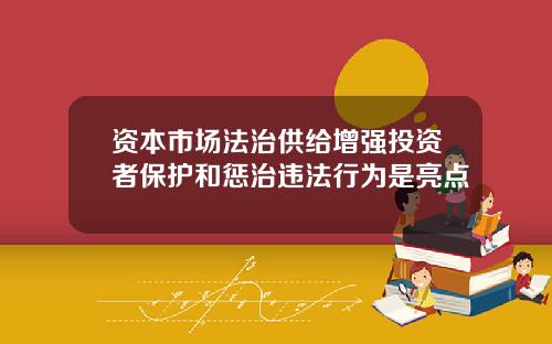 资本市场法治供给增强投资者保护和惩治违法行为是亮点