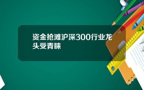资金抢滩沪深300行业龙头受青睐