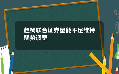 赵杨联合证券量能不足维持弱势调整
