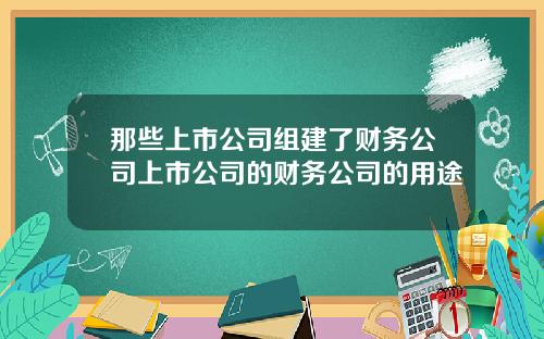 那些上市公司组建了财务公司上市公司的财务公司的用途