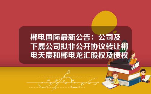 郴电国际最新公告：公司及下属公司拟非公开协议转让郴电天宸和郴电龙汇股权及债权-湖南郴州的政府负债率是多少