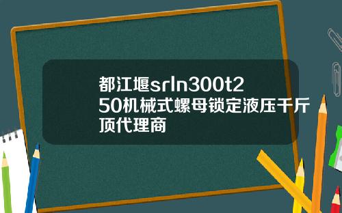 都江堰srln300t250机械式螺母锁定液压千斤顶代理商