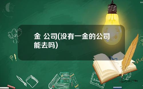 金 公司(没有一金的公司能去吗)