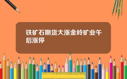 铁矿石期货大涨金岭矿业午后涨停