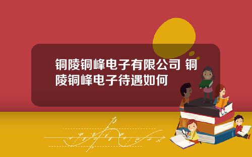 铜陵铜峰电子有限公司 铜陵铜峰电子待遇如何