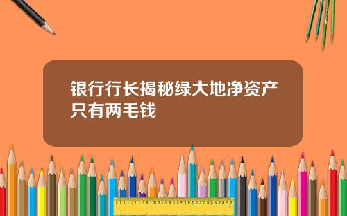 银行行长揭秘绿大地净资产只有两毛钱