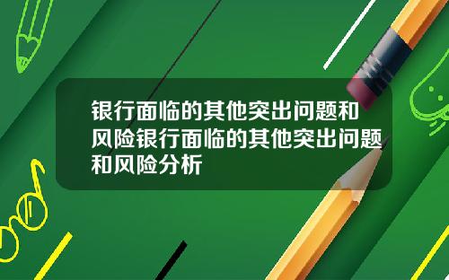 银行面临的其他突出问题和风险银行面临的其他突出问题和风险分析