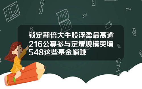 锁定翻倍大牛股浮盈最高逾216公募参与定增规模突增548这些基金躺赚