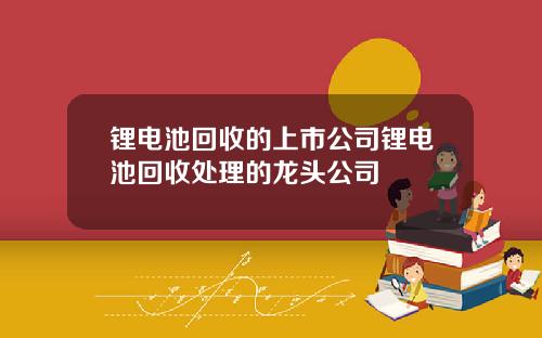 锂电池回收的上市公司锂电池回收处理的龙头公司