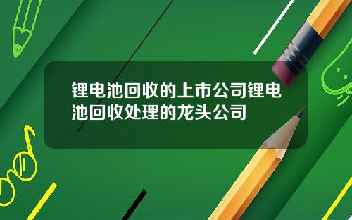 锂电池回收的上市公司锂电池回收处理的龙头公司