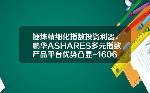 锤炼精细化指数投资利器，鹏华ASHARES多元指数产品平台优势凸显-160630基金
