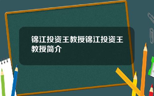 锦江投资王教授锦江投资王教授简介