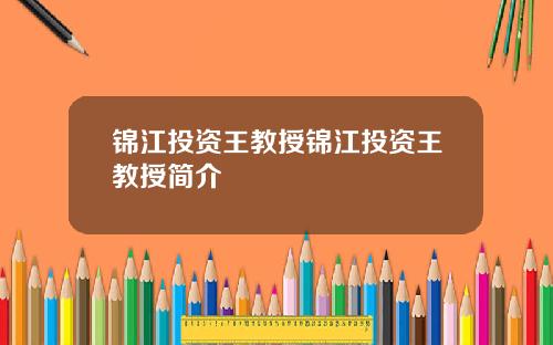 锦江投资王教授锦江投资王教授简介