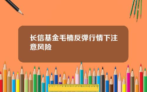 长信基金毛楠反弹行情下注意风险