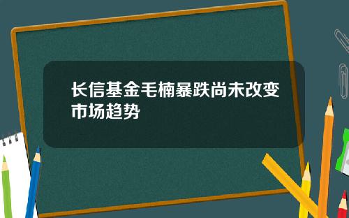 长信基金毛楠暴跌尚未改变市场趋势