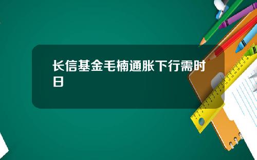 长信基金毛楠通胀下行需时日