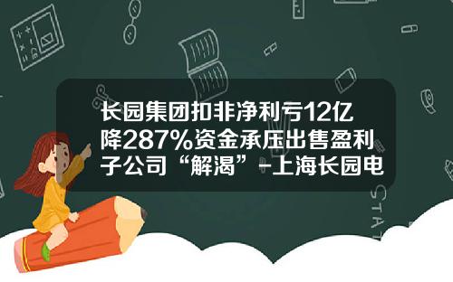 长园集团扣非净利亏12亿降287%资金承压出售盈利子公司“解渴”-上海长园电子材料公司