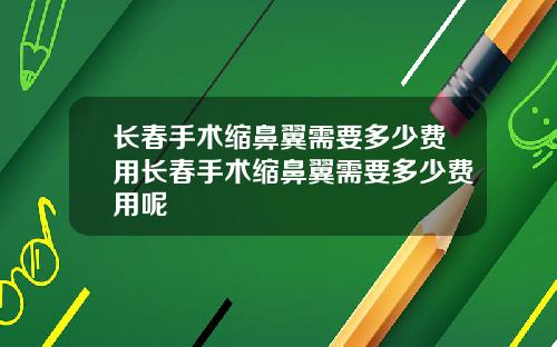 长春手术缩鼻翼需要多少费用长春手术缩鼻翼需要多少费用呢