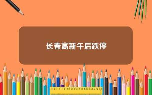长春高新午后跌停
