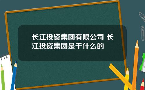 长江投资集团有限公司 长江投资集团是干什么的