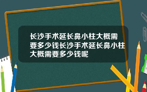 长沙手术延长鼻小柱大概需要多少钱长沙手术延长鼻小柱大概需要多少钱呢