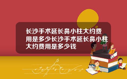 长沙手术延长鼻小柱大约费用是多少长沙手术延长鼻小柱大约费用是多少钱