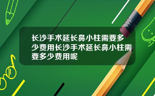 长沙手术延长鼻小柱需要多少费用长沙手术延长鼻小柱需要多少费用呢