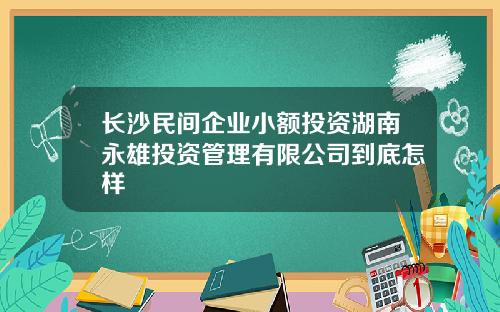 长沙民间企业小额投资湖南永雄投资管理有限公司到底怎样
