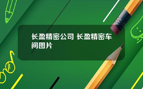 长盈精密公司 长盈精密车间图片